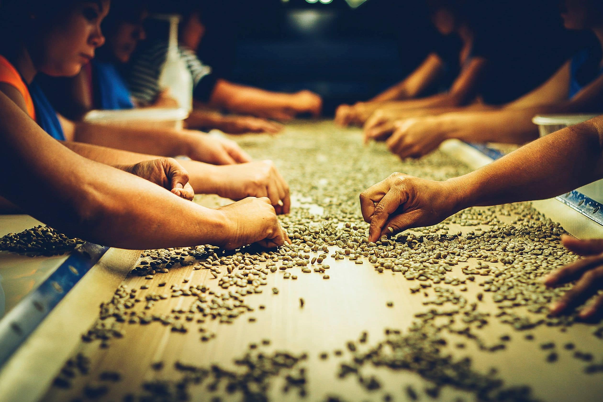 sorting sorting